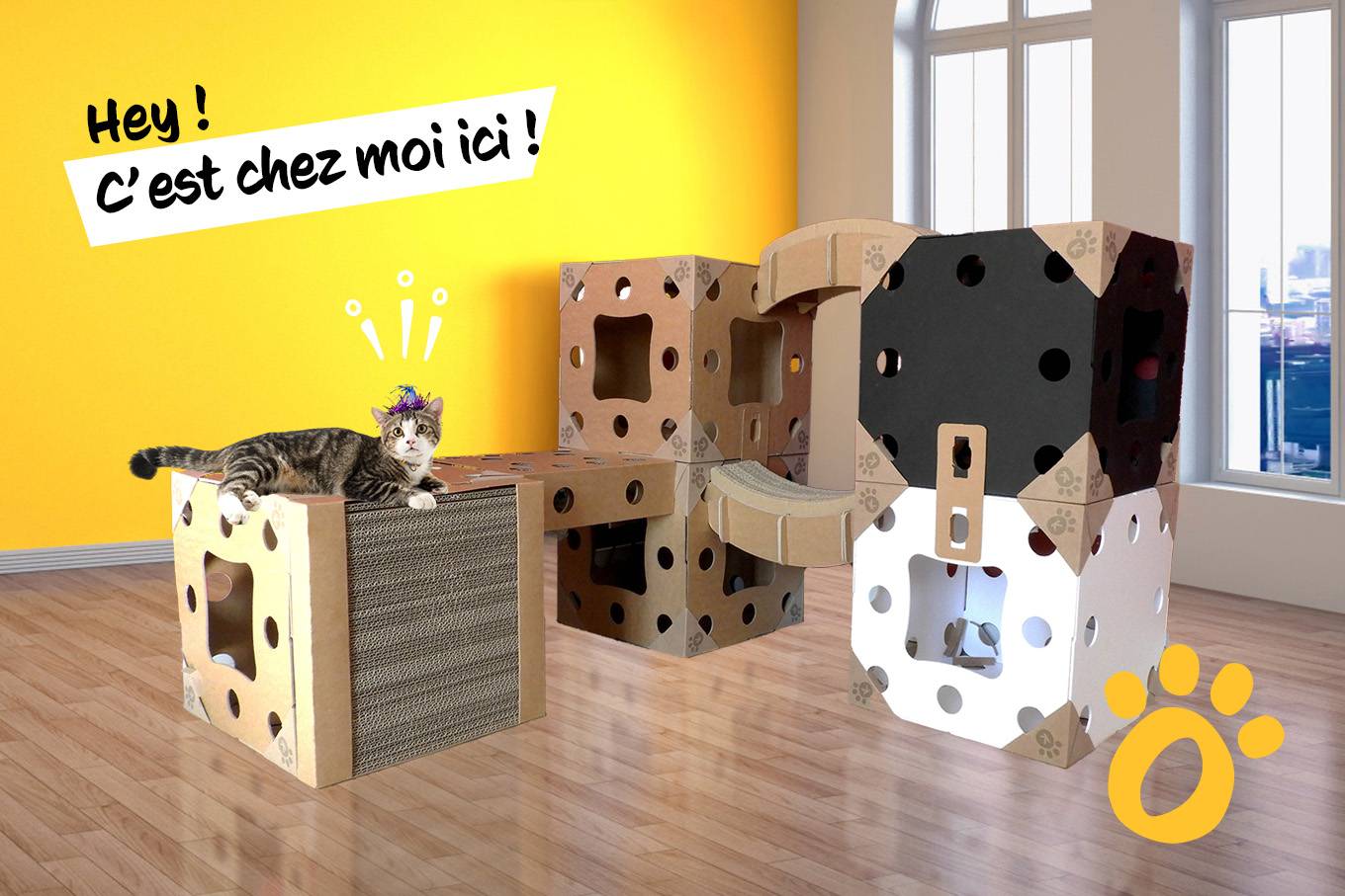 Le concept Kléo : le jeu, le design et la liberté féline !