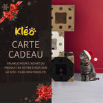 Carte cadeau 50€