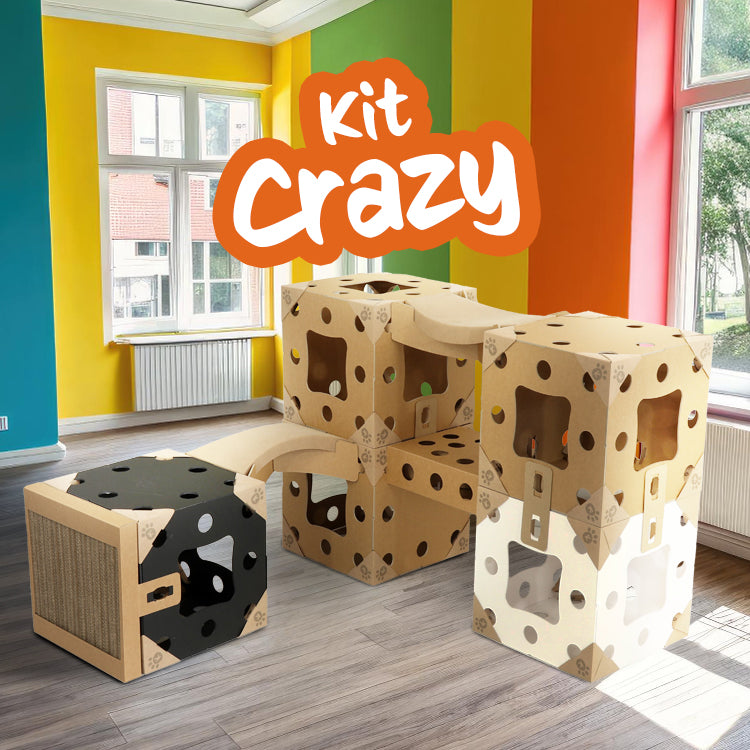 Kit Kléo Crazy