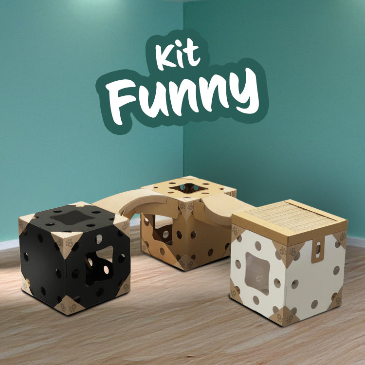 Kit Kléo Funny