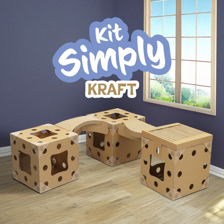 Kit Kléo Simply kraft