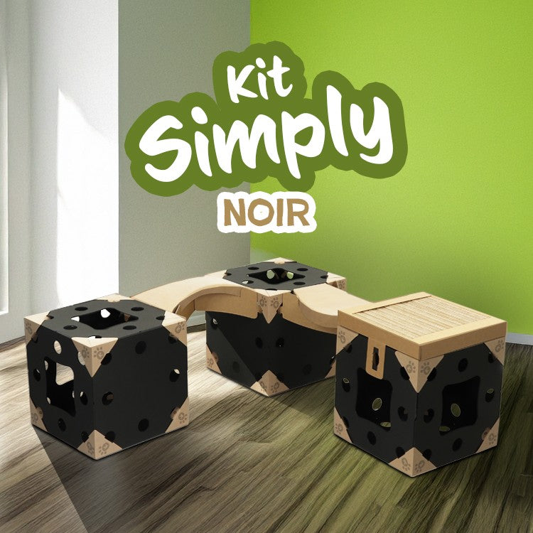 Kit Kléo Simply noir