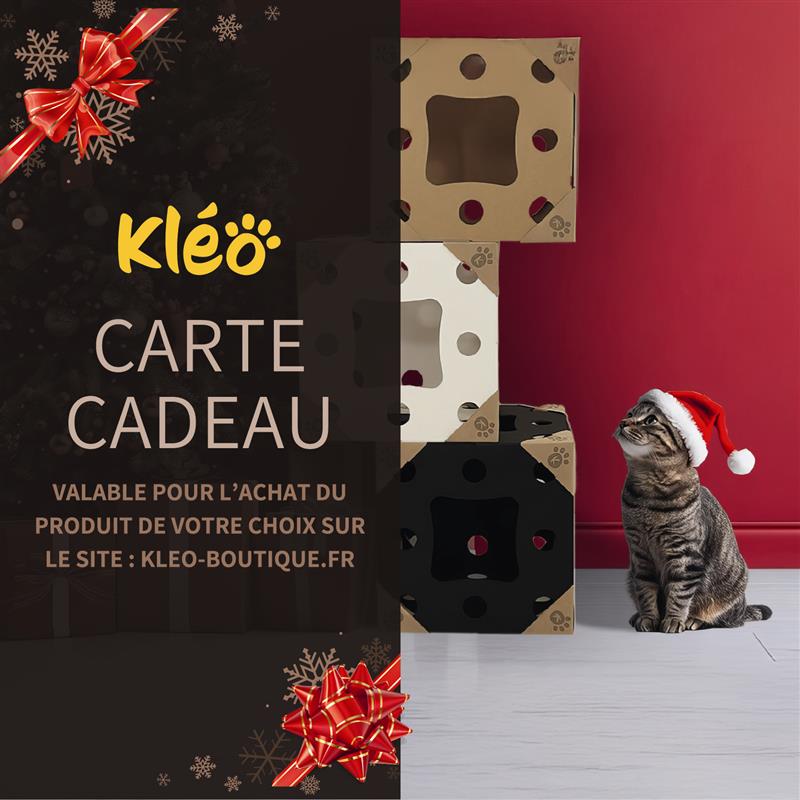 Carte cadeau 10€